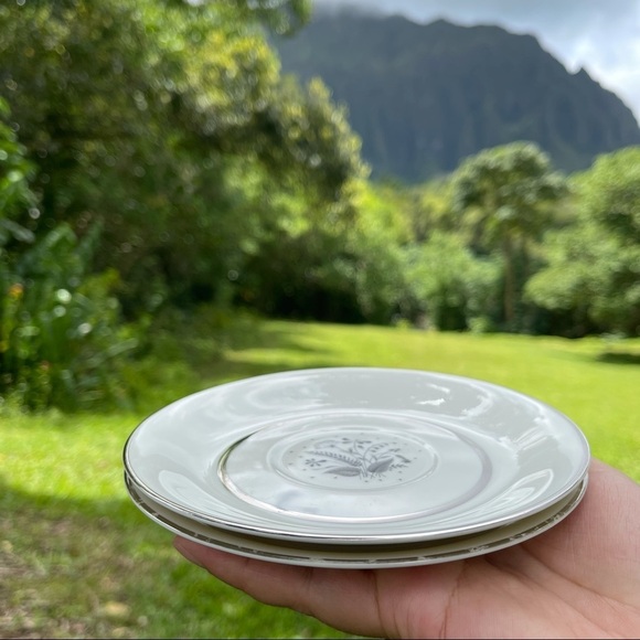 Vintage Carlton Fine China Saucers Set of 2 - Picture 8 of 10